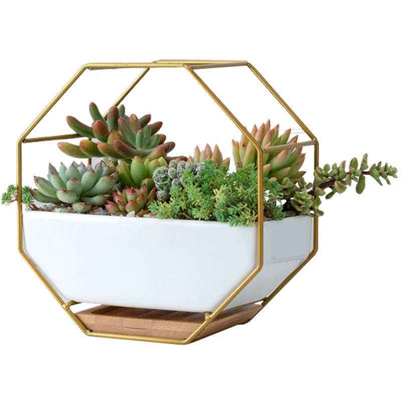 Nordic Minimalist Creative Geometric Wrought Iron Metal Bracket Ceramic Flower Pot Set Succulents Green Plants Potted Ornaments